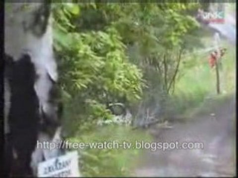 crashes, accidents - rally racing compilation