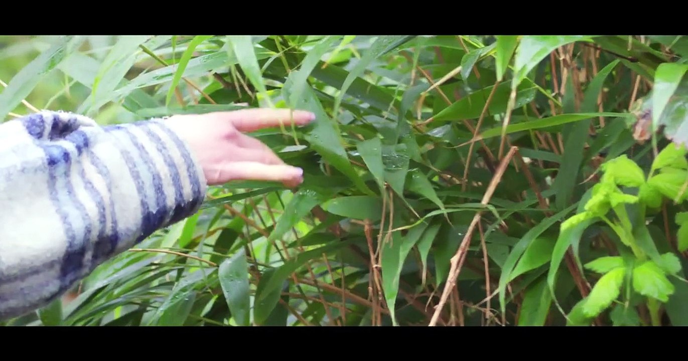 The Letter _ Lesbian Short Film