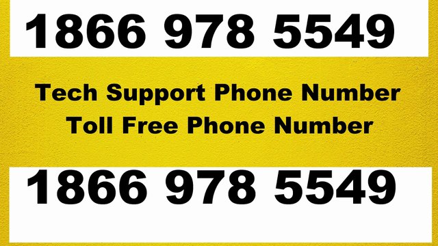 『MALWAREBYTES®』 ® {Help Desk SuppoRt}™ — Toll-Free Numbers & Support Options