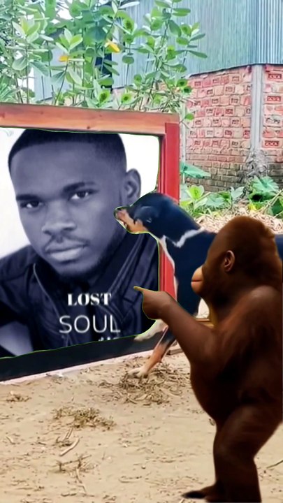 Lost Soul