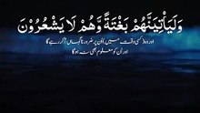 quran rectiation urdu translation allah believe beauty beautifull truth islamicshorts for you only for you
