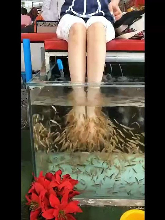 Spa with fish 🐟