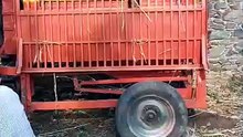 ट्रेक्टर से गाव की गेहू मढ़ाई