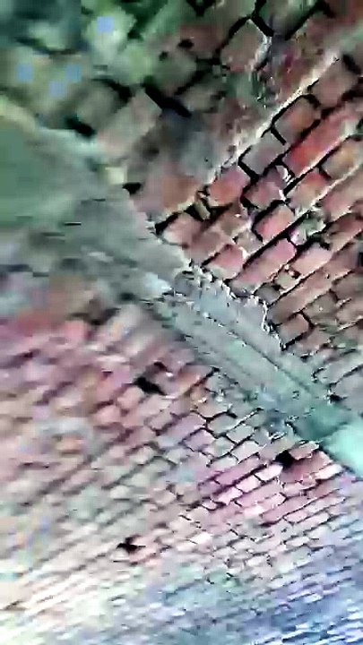Viral video
