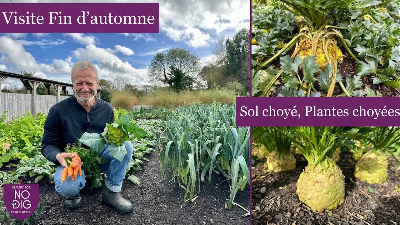 Couvre-sol sans labour : préparer le potager avant l'hiver