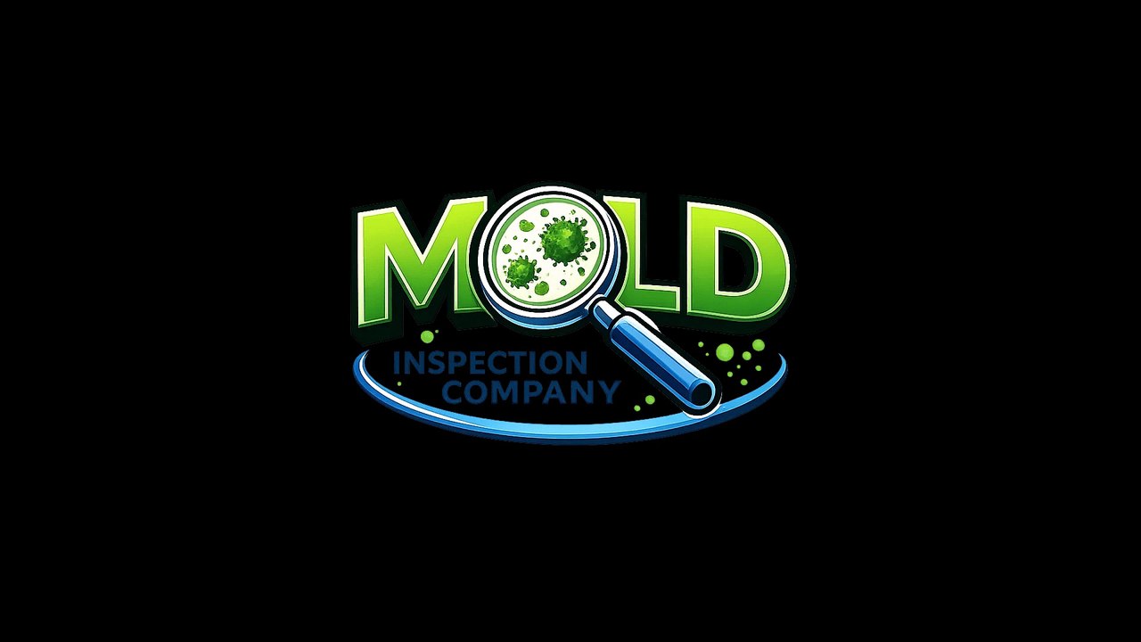Mold Testing In Dallas