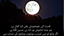 چاندنی رات کا حسین منظر 🌕 | سکون بھری رات اور خوبصورت چاند | Best Life Layer