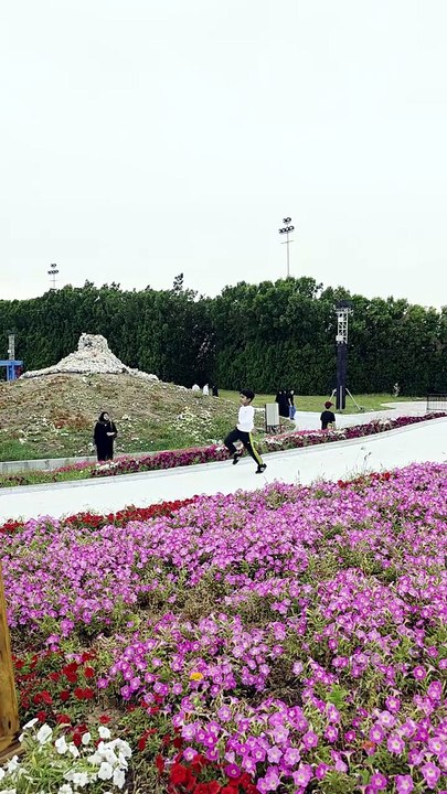 Hidden Beauty of Yanbu Flower Festival | Must Visit Place 🇸🇦