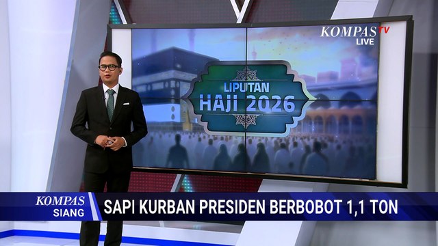Potret Sapi Kurban Presiden Prabowo Berbobot 1,1 Ton, Dipilih dari Peternak di Blora | KOMPAS SIANG