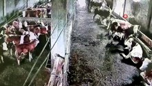 İnsanların hissetmediği depremdeki ilginç anlar saniye saniye kameralarda!