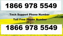 ALL 【Square-Cash-App® {Help Desk SuppoRt}™ — Square-Cash-App Toll-Free Numbers & Support Options