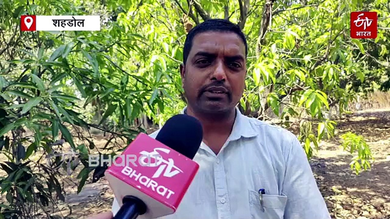 खरीफ सीजन से पहले खेतों में लगा दें ये अमृत फसल, डीपी यूरिया की हो जाएगी छुट्टी, बीज से भी कमाएं पैसे