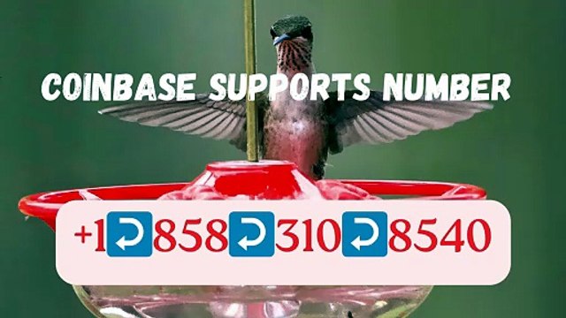 ↳↳↳《{Latest》]™【{BIG}】™[*List of CoinbaseⓃⓃ CUSTOMER© WaLlEt© Care℗ (Toll Free Number Support) Numbers