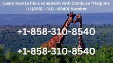{{QXC}}™ {[List]} of Coinbase® CUSTOMER© SERVICE℗ Contact Numbers —24/7 Live Person Assistance GUide