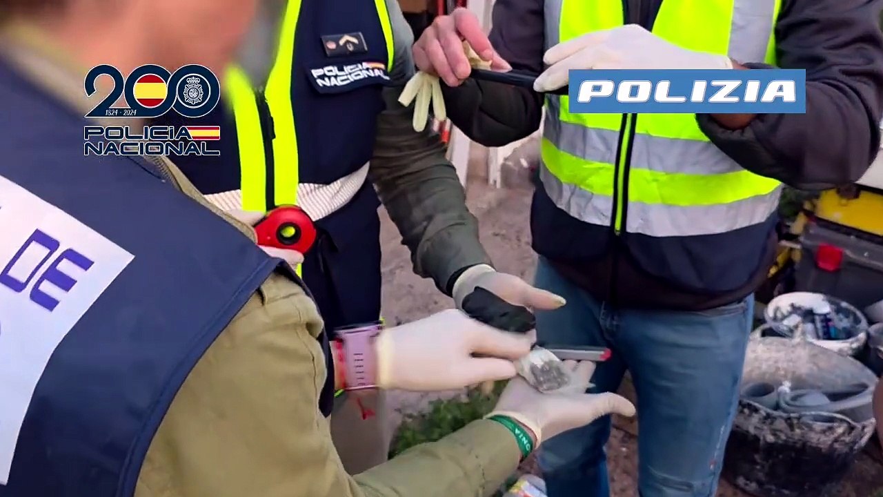 Golpe al crimen organizado italiano en España: cae una red de falsificación documental en Tenerife y Barcelona