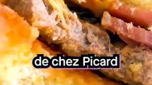Testons les PIRES Plats Préparés de Picard (Partie 4)