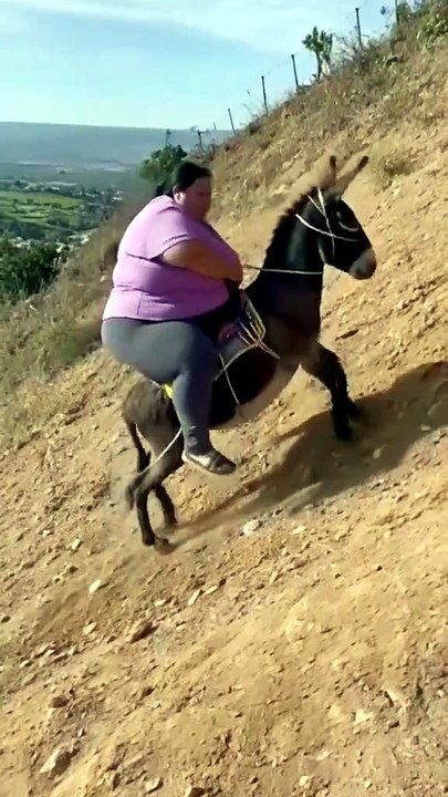 Funny videos 😂🤣🤣