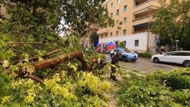 Grandine e pioggia in tutto il Veneto, strade allagate e alberi caduti. Colpiti anche i centri storici di Treviso e Verona