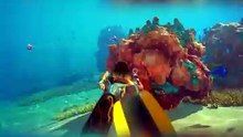 Subnautica 2 just hit FIVE MILLION wishlists on Steam 🌊🐙