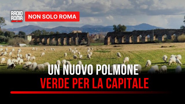 Un nuovo polmone verde per Roma: nel V Municipio si lavora per il Parco della Mistica