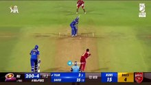 -cricket