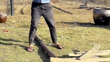 Look at this amazing stick#funny #comedy #shorts