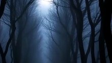 Nobody Can Explain These Bent Trees