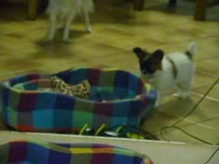 A la découverte d'un nouvel espace