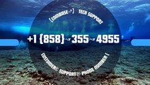 Does Coinbase Have 24/7 Customer Service? - TeCHniCAl SupPort WaLlEt® Care