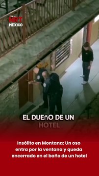 🐻🚔 Policías en Montana encontraron a un oso negro atrapado en el baño de mujeres de un hotel, luego de que el dueño reportara ruidos extraños. El animal había entrado por una ventana y fue liberado sin lesionados.