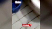 Otel tuvaletinden çıkan dev yaratık dehşete düşürdü