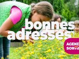 Agenda des Sorties du 18 au 20 mai 2026