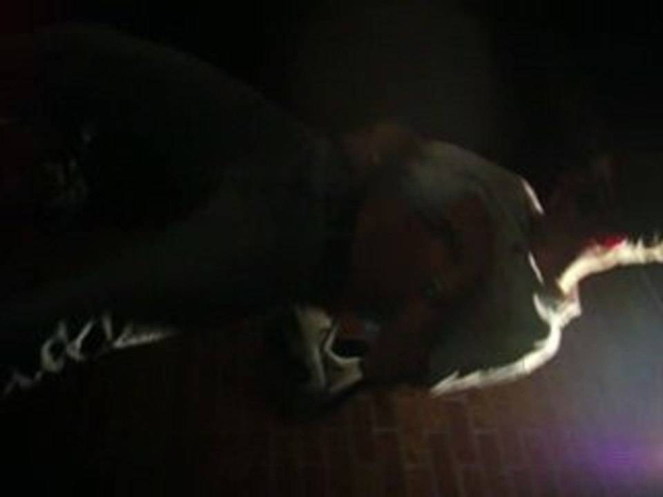 tetel