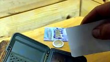 Pelican Wallet