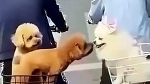You have a good time discovering funny news