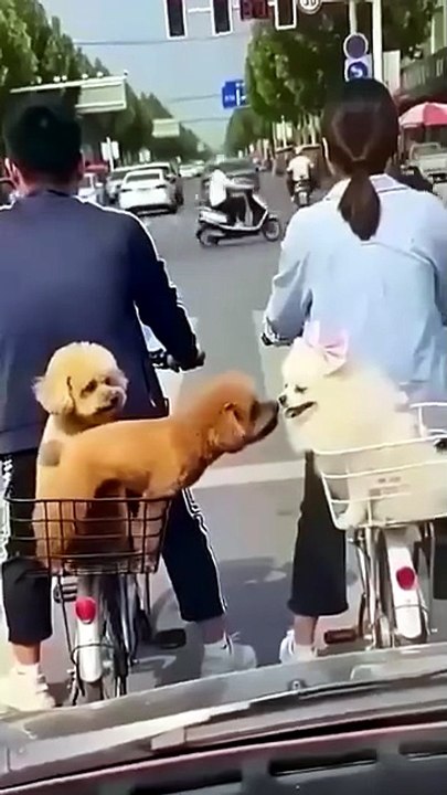 You have a good time discovering funny news