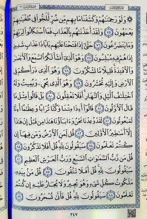 صفحة (347)