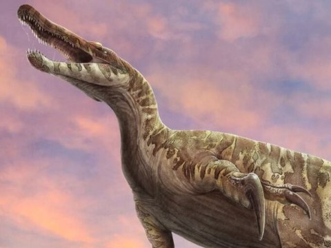 Dinosaurios extintos, tardígrados inmortales y parásitos zombis: los animales imposibles que sí existen