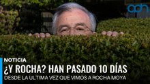¿Y Rocha? Han pasado 10 días desde la ultima vez que vimos a Rocha Moya