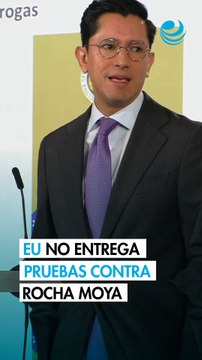 Estados Unidos no ha enviado pruebas sobre las acusaciones contra Rocha Moya: SRE