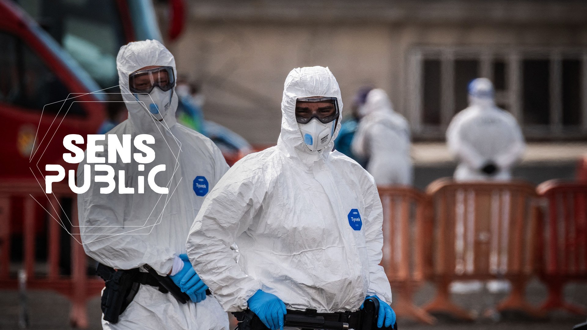 Hantavirus : nos experts vous répondent