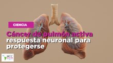 Cáncer de pulmón activa respuesta neuronal para protegerse