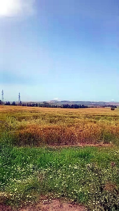 مناظر من الريف