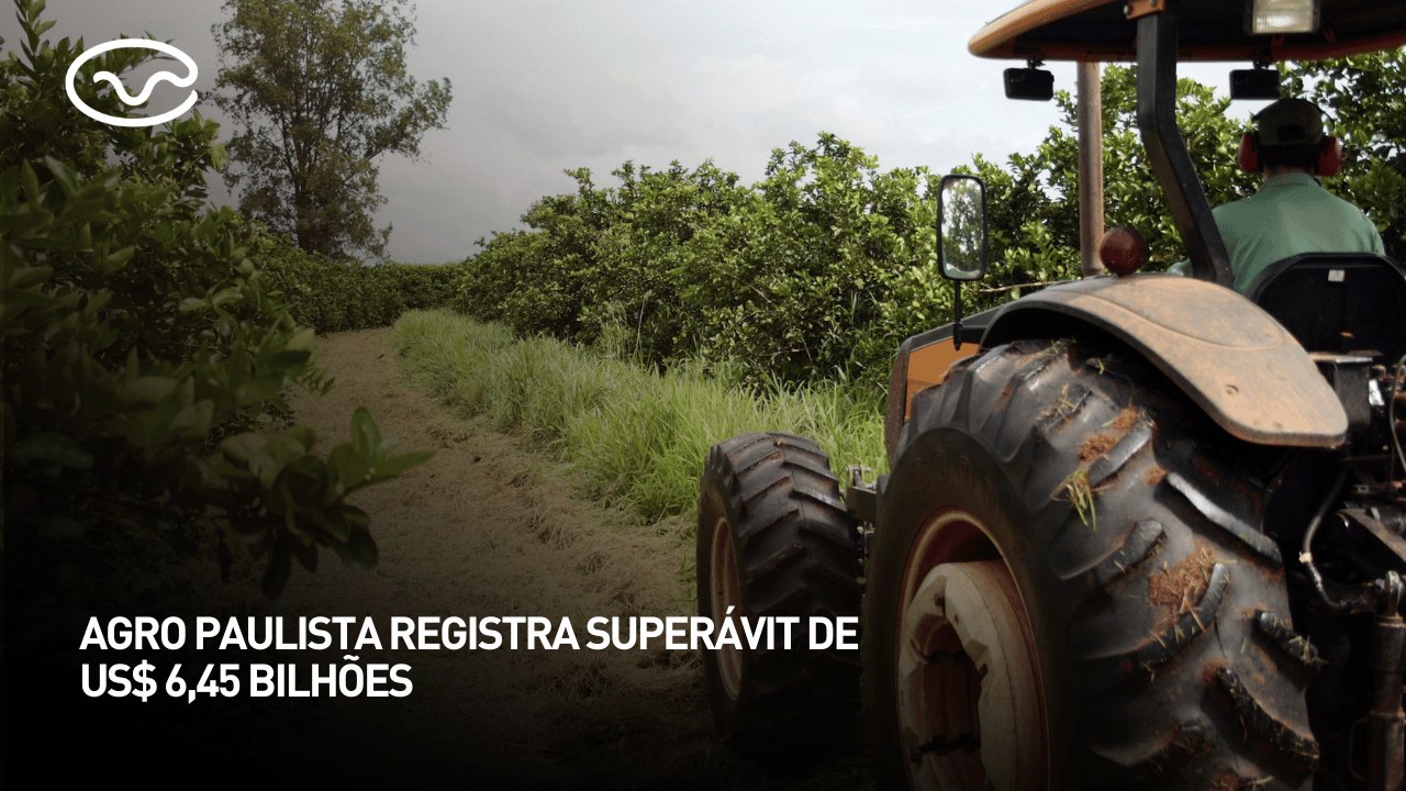 Agro paulista registra superávit de US$ 6,45 bilhões