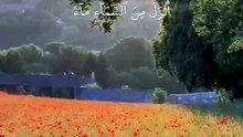 القران الكريم