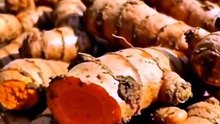 The Body's Protector Planting : Turmeric 🌱 NaturePlant