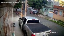 Geese caught in the act in Piedade