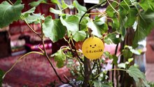 Bloom.Life.S01E06  English Sub