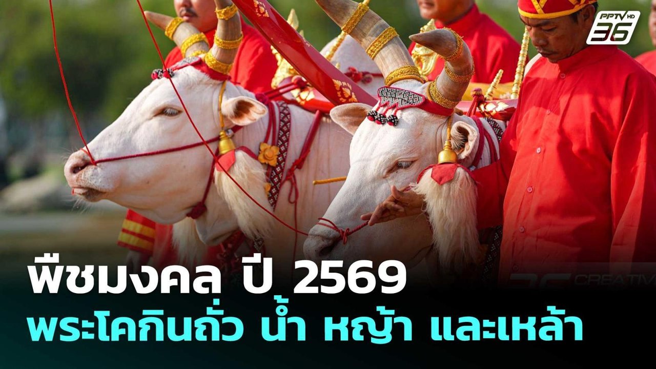 พืชมงคล ปี 2569 พระโคกินถั่ว น้ำ หญ้า และเหล้า | เที่ยงทันข่าว | 13 พ.ค. 69