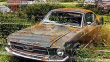 This Abandoned ’65 Mustang Was Left to Rot… Then Restored 😱🔥